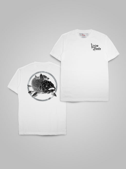 00. Front and BackStay Fancy