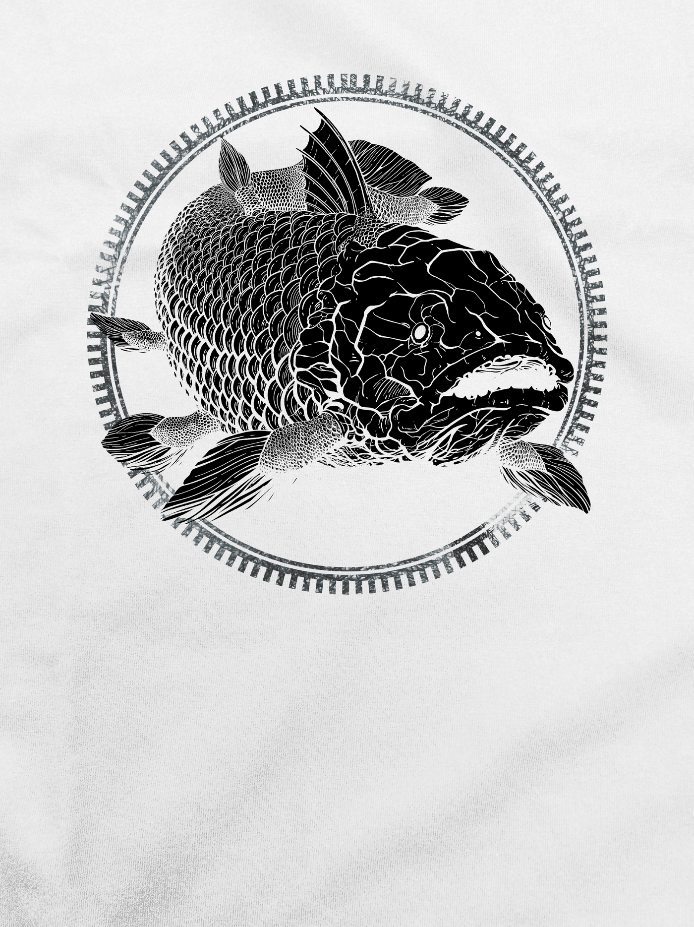 Living Fossils